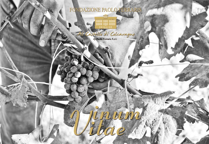 vitae