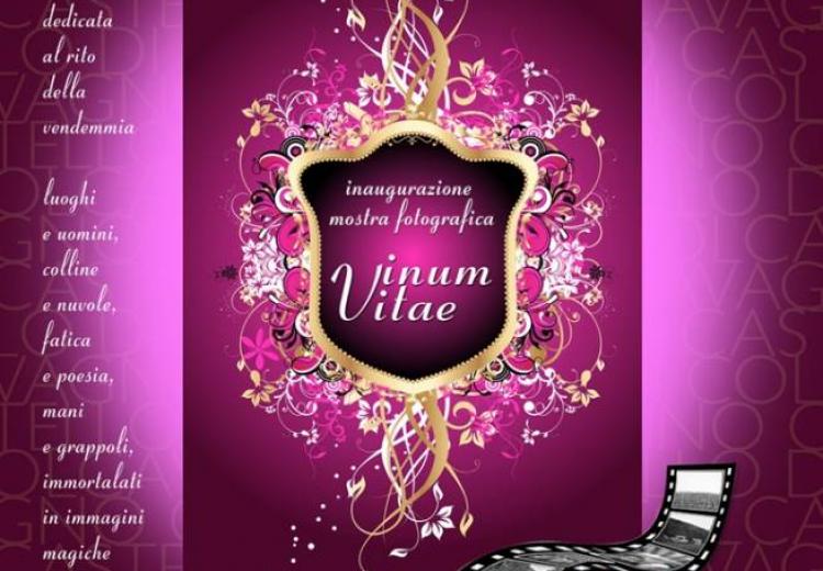 vinum vitae